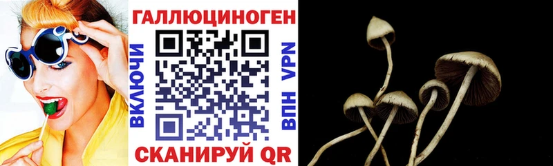 магазин    Саратов  Псилоцибиновые грибы Cubensis 
